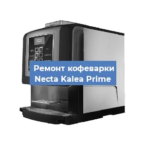 Замена жерновов на кофемашине Necta Kalea Prime в Красноярске